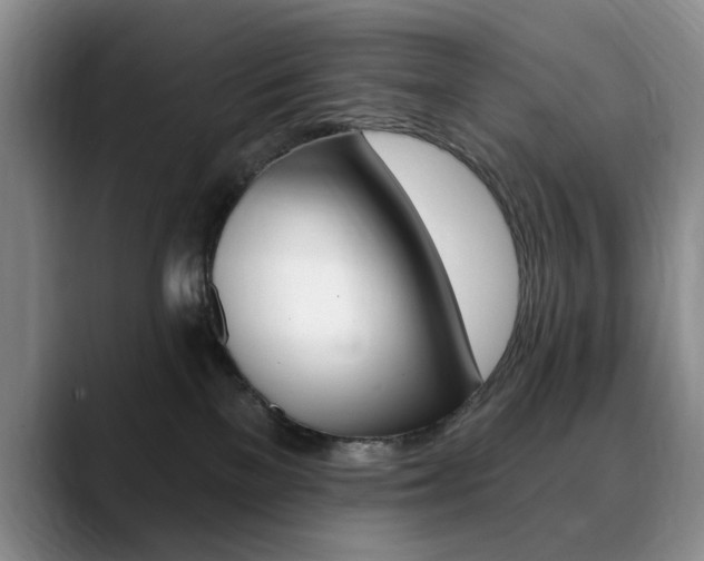 X0000090730137200707201002