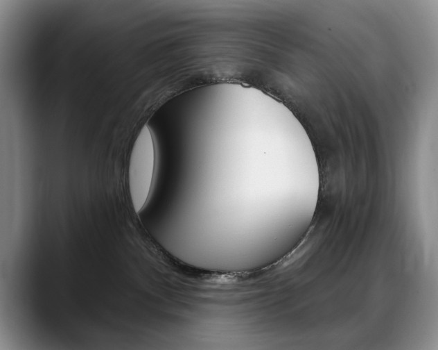 X0000090730140200707201002