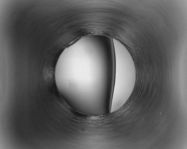 X0000090730141200707201002