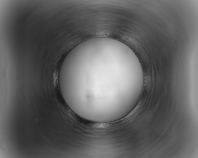 X0000090730142200707201002