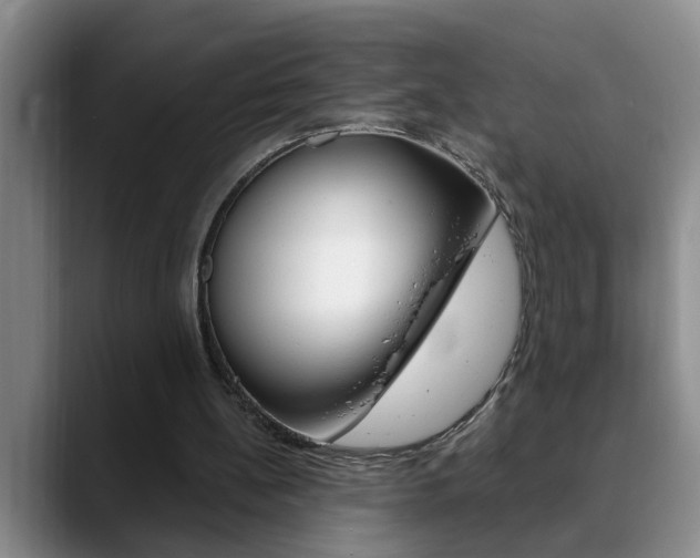 X0000090730148200707201001