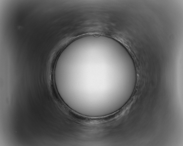 X0000090730149200707201001