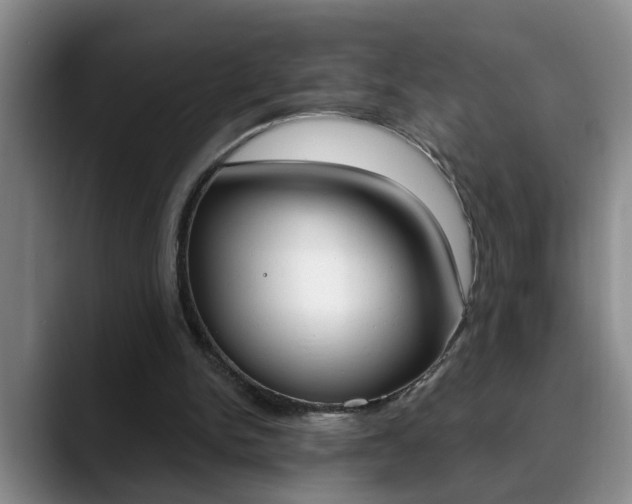 X0000090730150200707201001