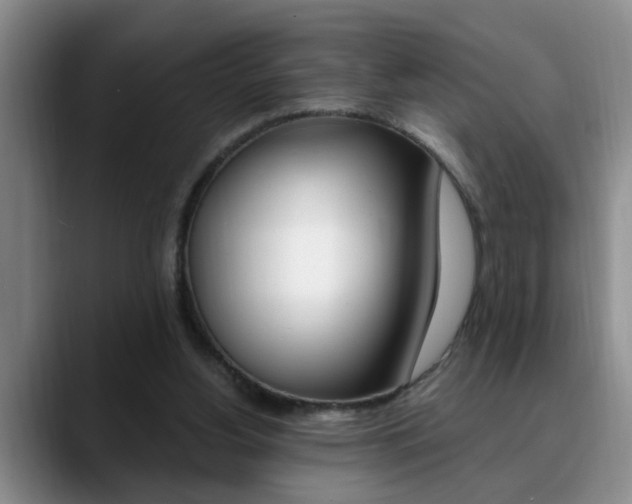 X0000090730156200707201001