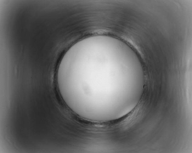 X0000090730159200707201001