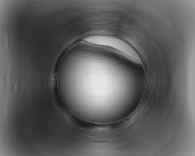 X0000090730160200707201001