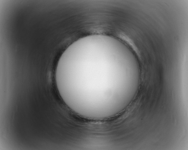 X0000090730161200707201001