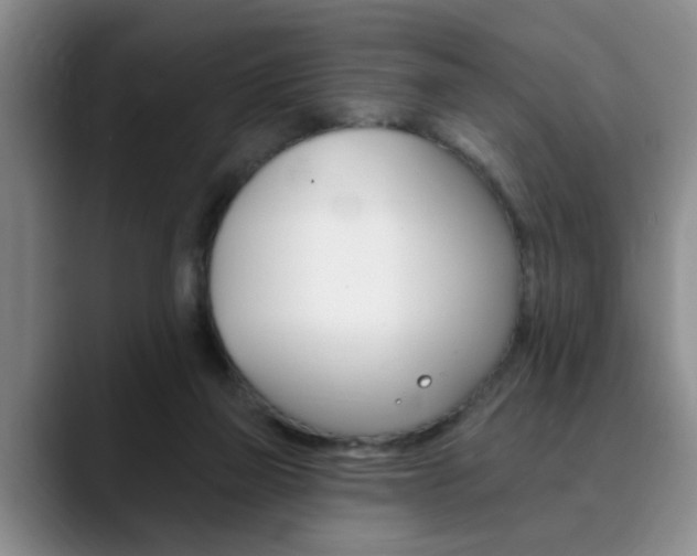 X0000090730165200707201001