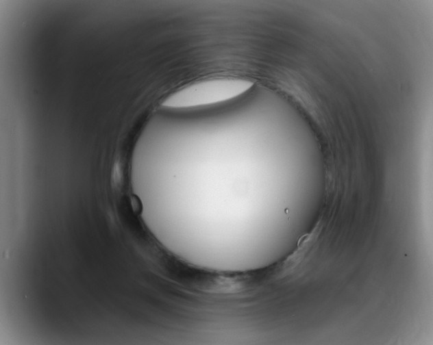 X0000090730166200707201001