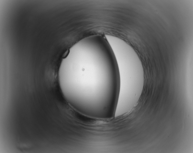X0000090730176200707201002