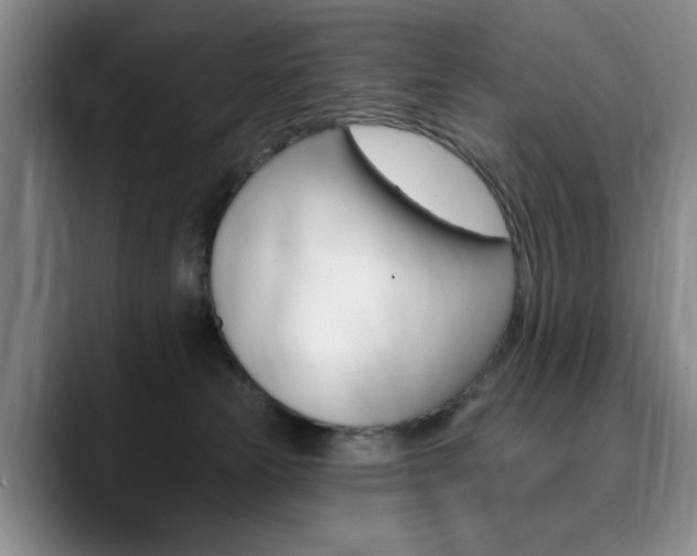 X0000090730181200707201002