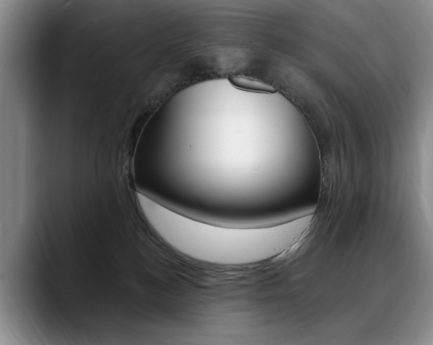 X0000090730184200707201002