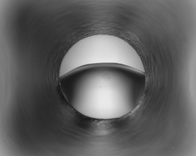 X0000090730186200707201002