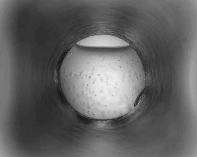 X0000090730187200707201002
