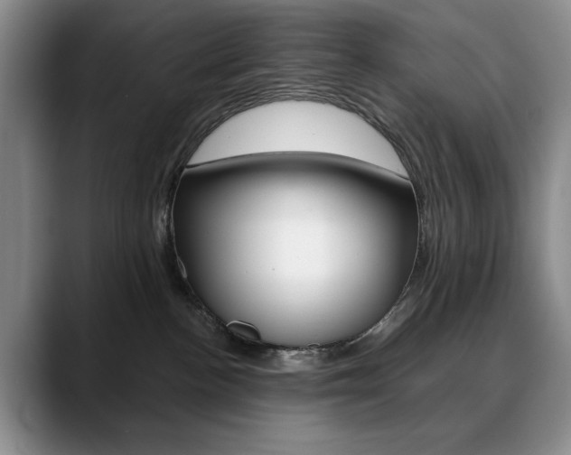 X0000090730188200707201002