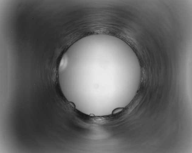 X0000090730189200707201002
