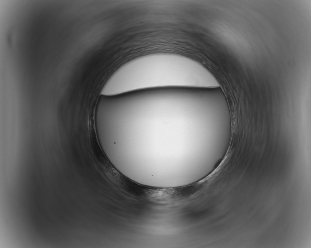 X0000090730191200707201002