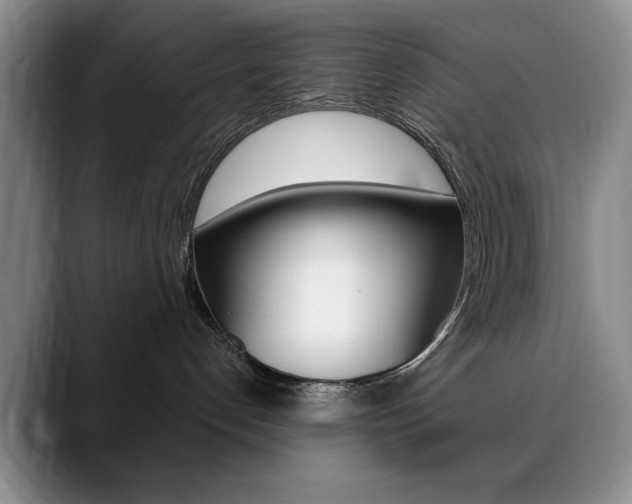 X0000090730192200707201002