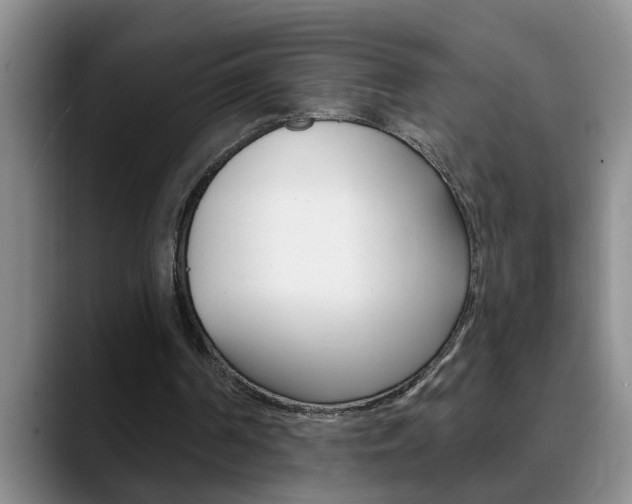 X0000090730194200707201001