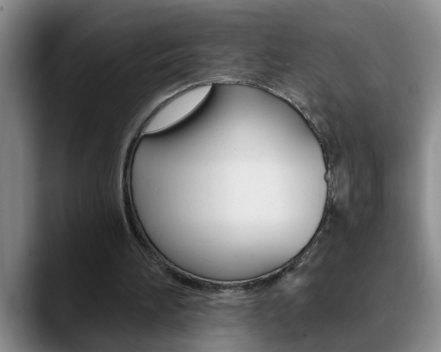 X0000090730196200707201001