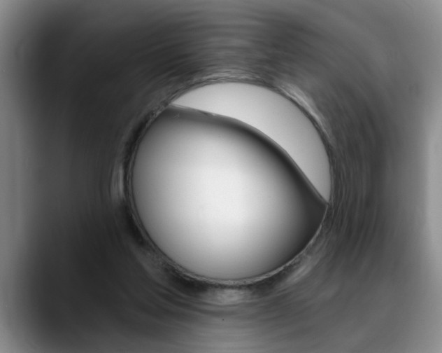 X0000090730205200707201001