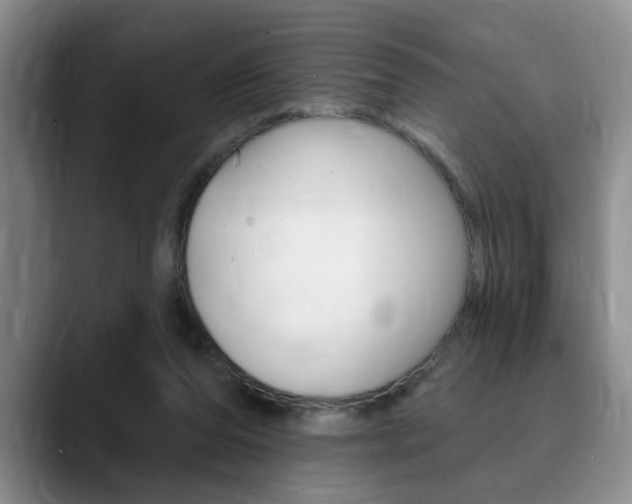 X0000090730208200707201001