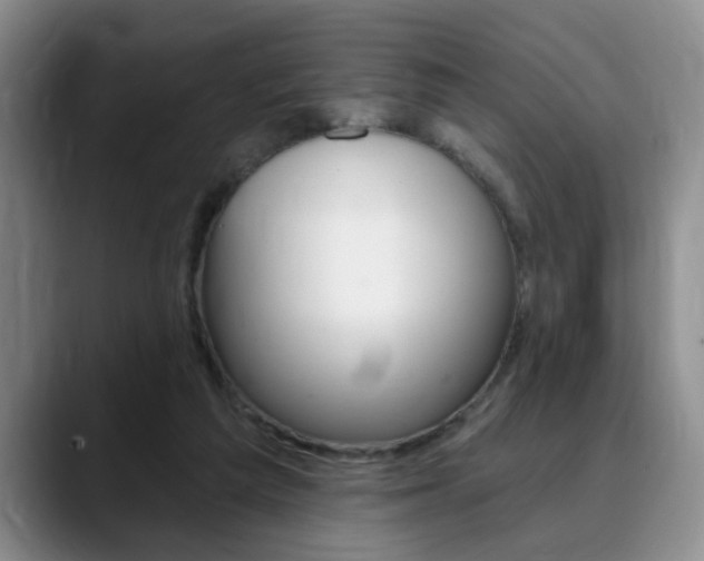 X0000090730209200707201001