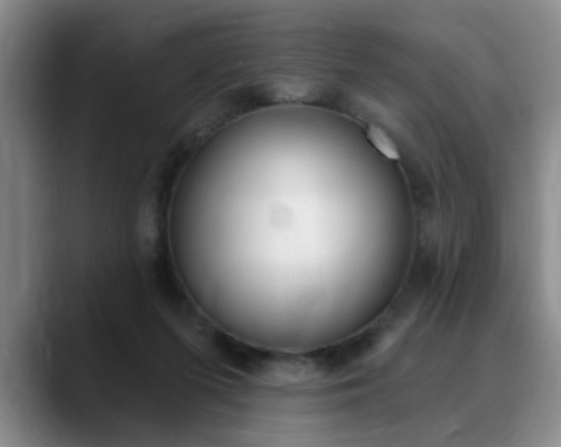 X0000090730215200707201001