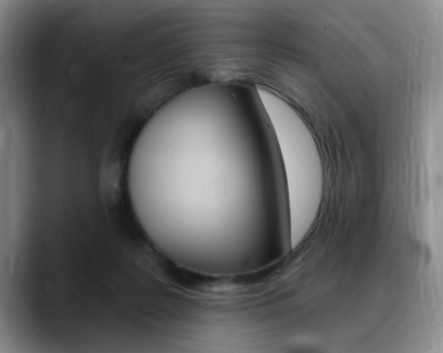 X0000090730219200707201001