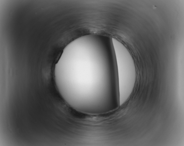 X0000090730221200707201001