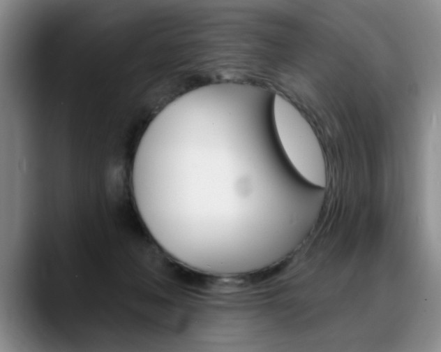 X0000090730222200707201001