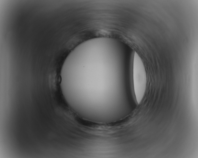 X0000090730223200707201001