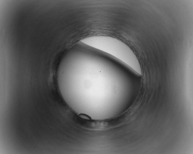 X0000090730225200707201001