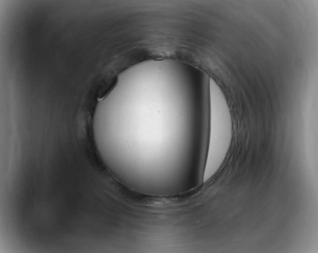 X0000090730229200707201001