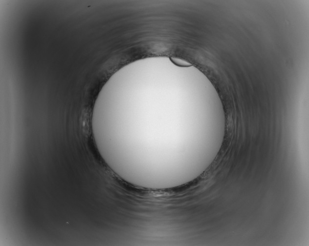 X0000090730234200707201001
