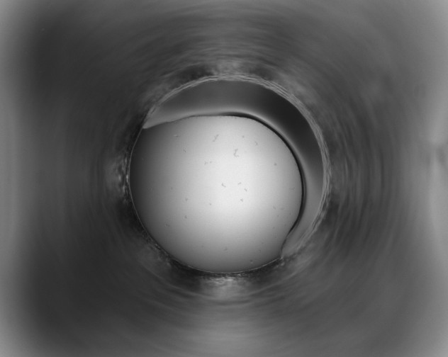 X0000090730237200707201001