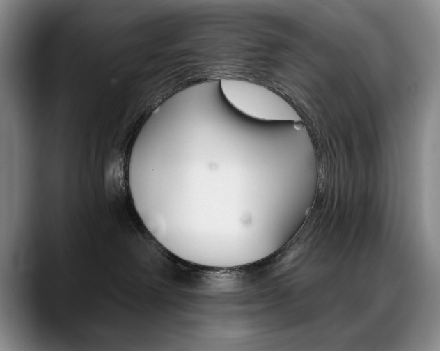 X0000090730238200707201001