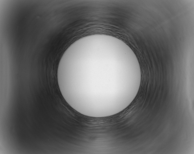X0000090730239200707201001