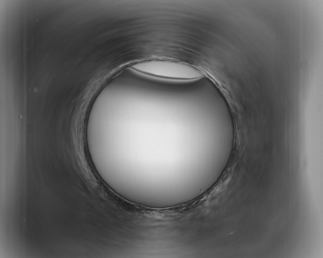 X0000090730241200707201000