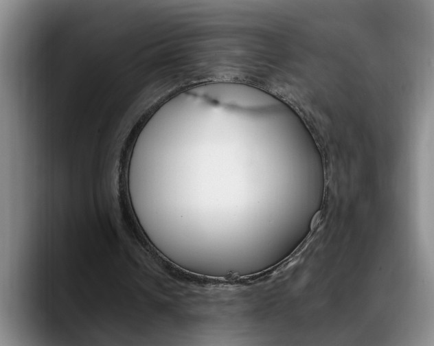X0000090730242200707201000