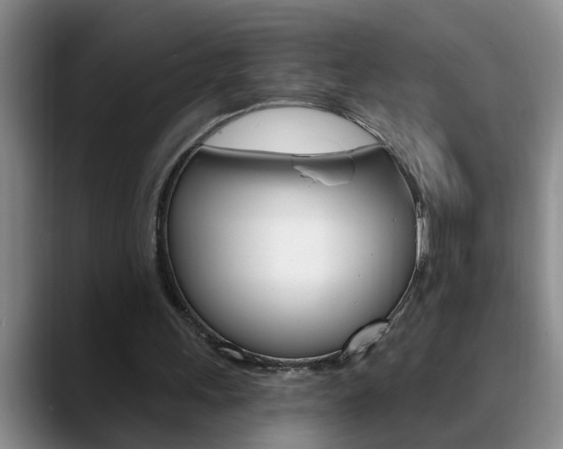 X0000090730243200707201000