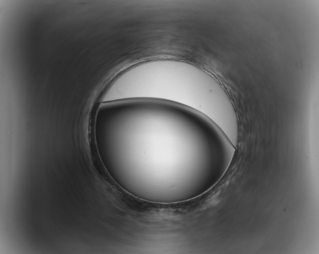 X0000090730244200707201000