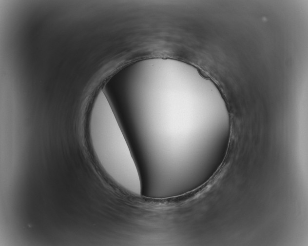X0000090730245200707201000