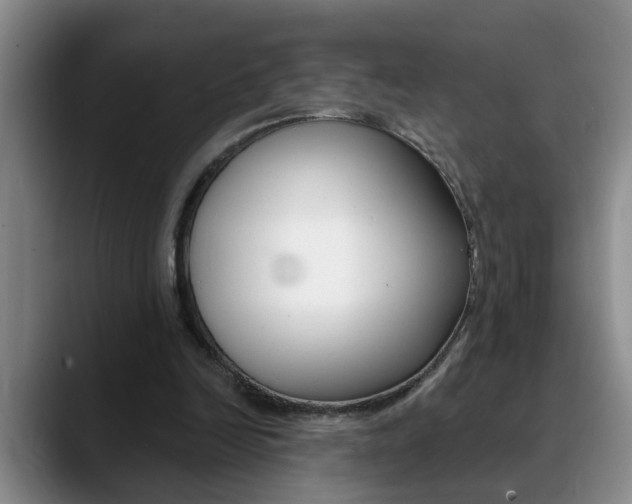 X0000090730246200707201000
