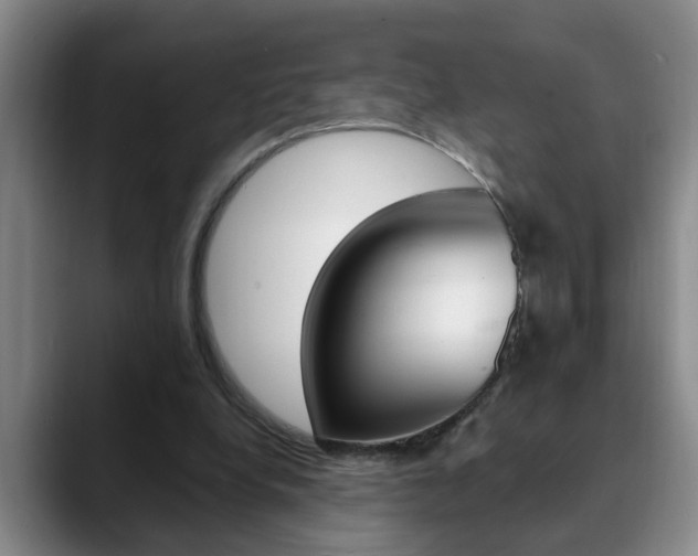 X0000090730248200707201000