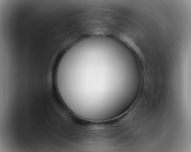 X0000090730250200707201000