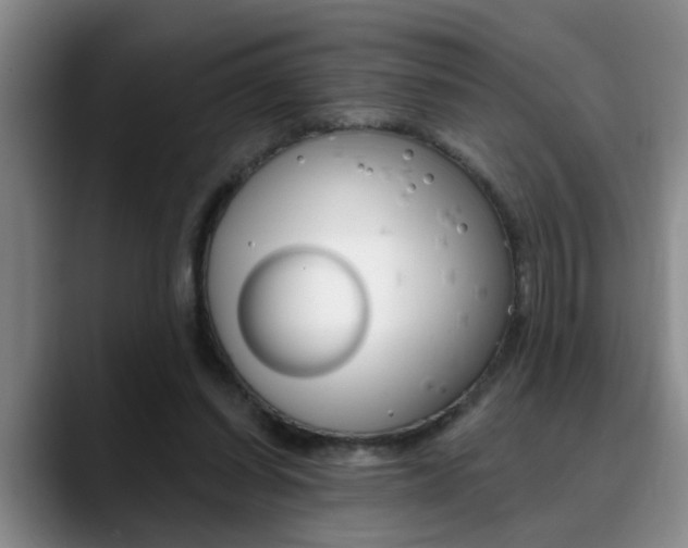 X0000090730254200707201000