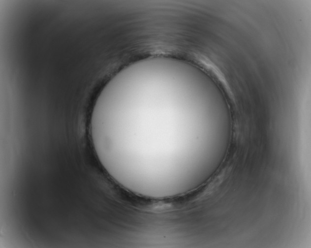 X0000090730257200707201000