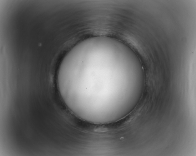 X0000090730258200707201000