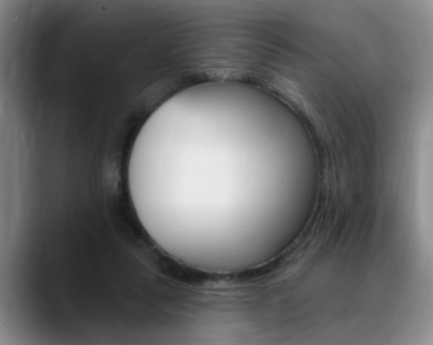 X0000090730259200707201000